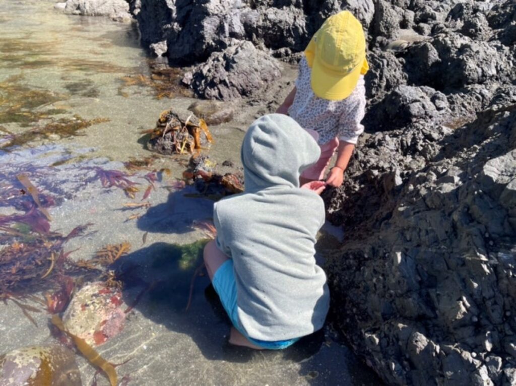kaikoura rockpool fun kids