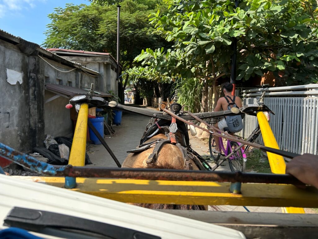Gili Trawangan horse wagon to harbour