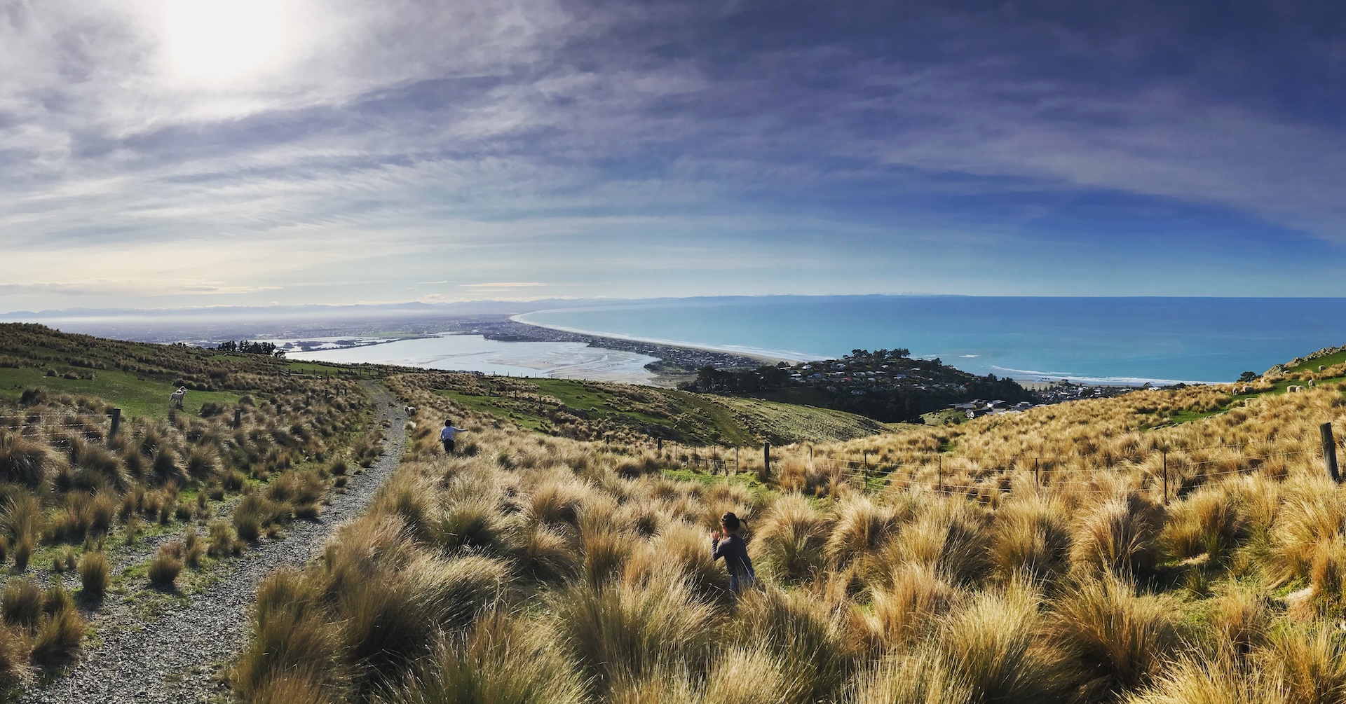 South Island Road Trip: 5 Proven Reasons Queenstown to Christchurch is the Smartest Route