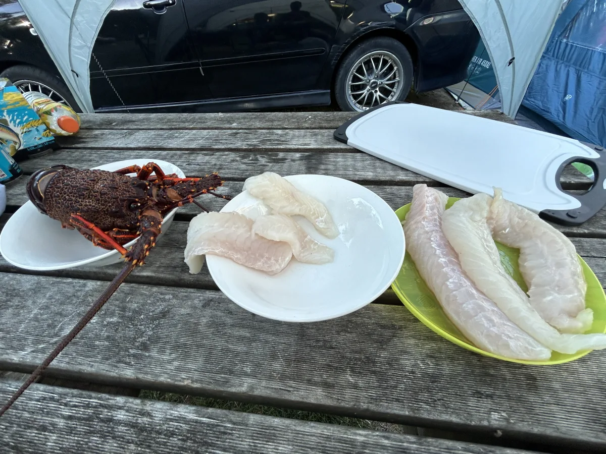 Kaikoura fishing charter catches: crayfish, blue cod, perch