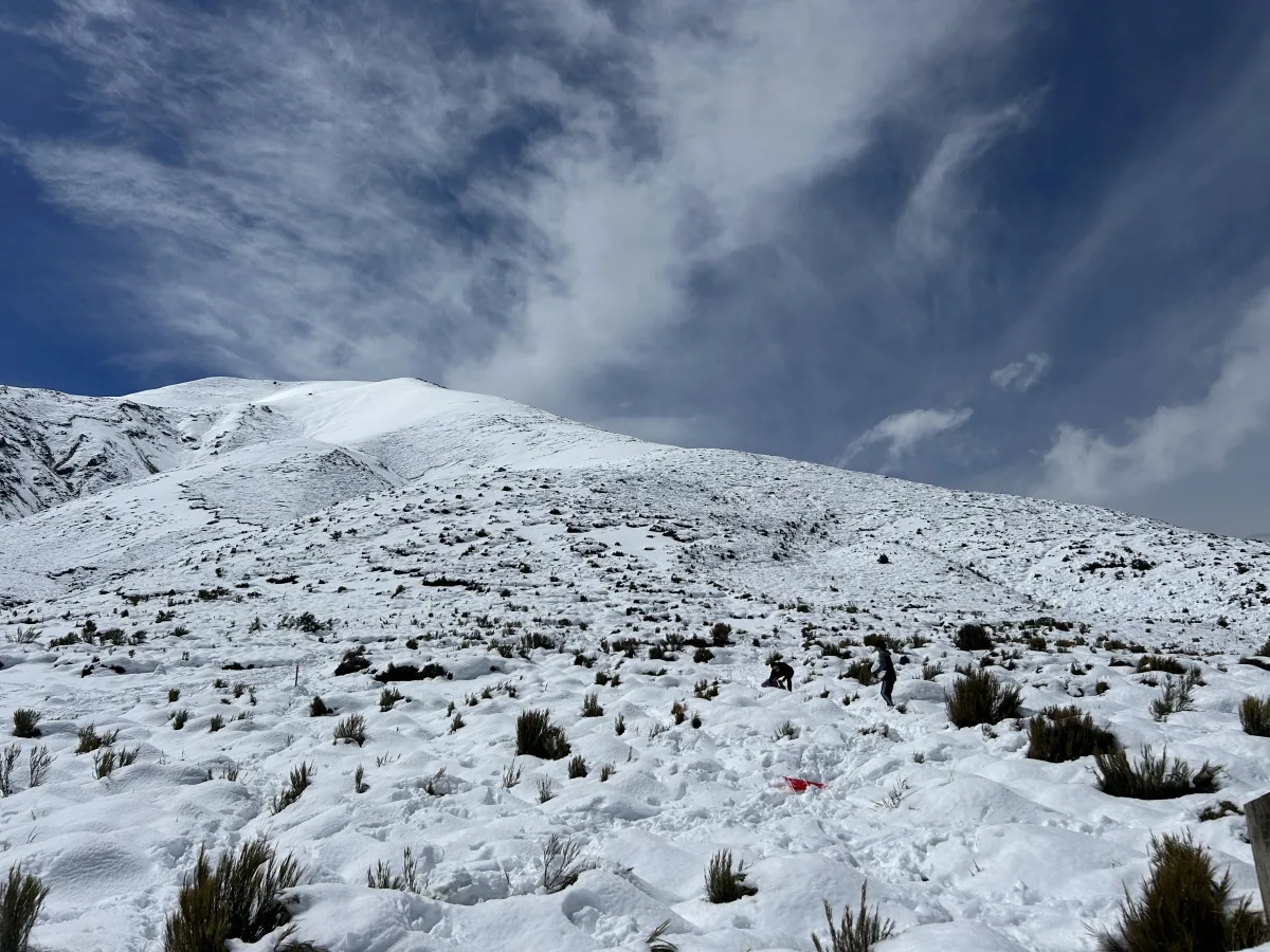 the slopes of Porters Pass are perfect for some family-friendly tobogganing near Christchurch