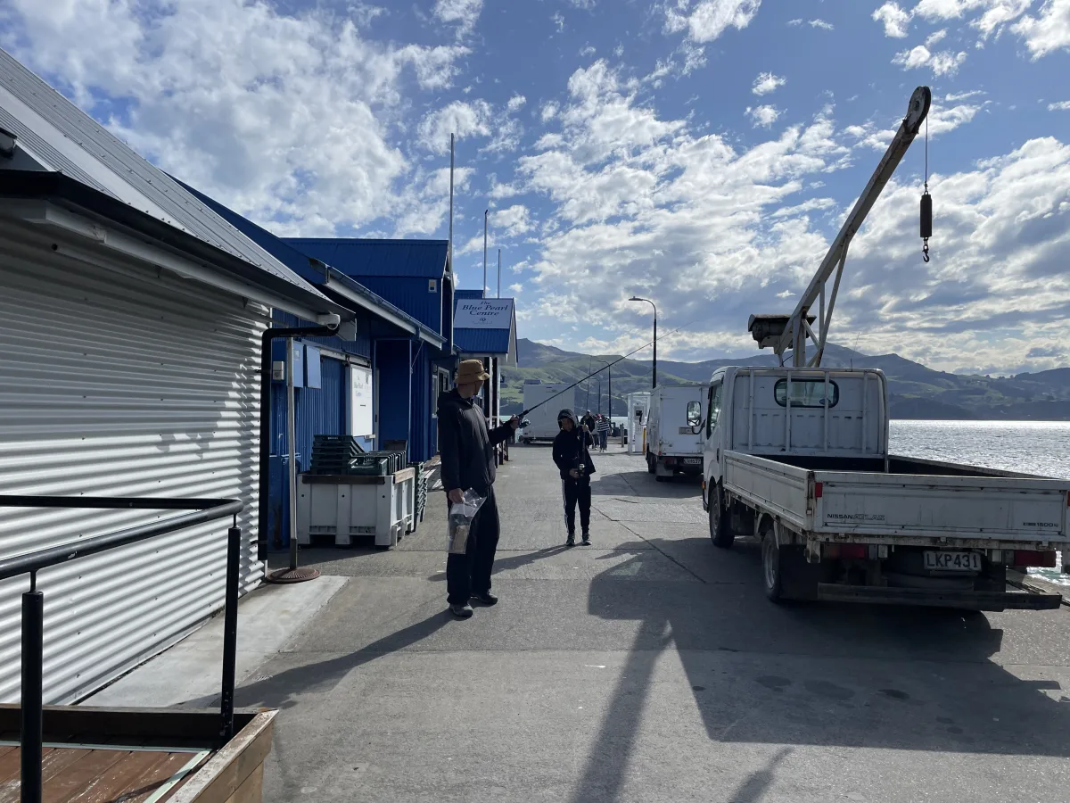 Relaxed Fishing Off the Wharf