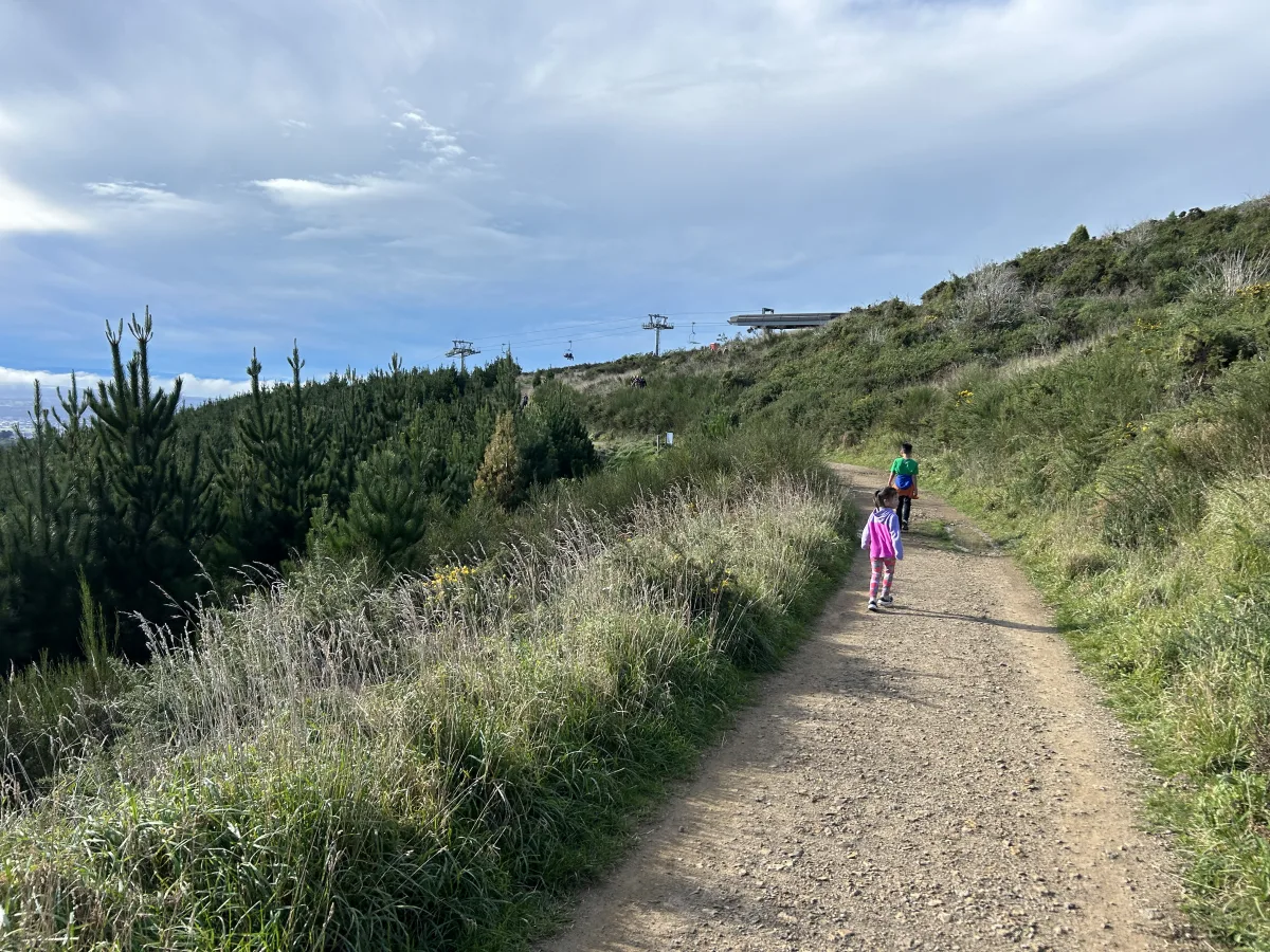 Christchurch Adventure Park uphill trail