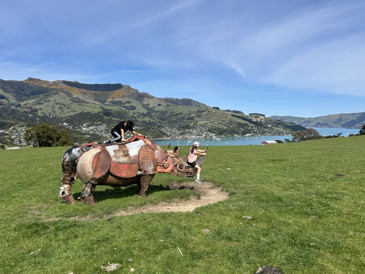 Afternoon Hike on the Children's Bay Walking Track
