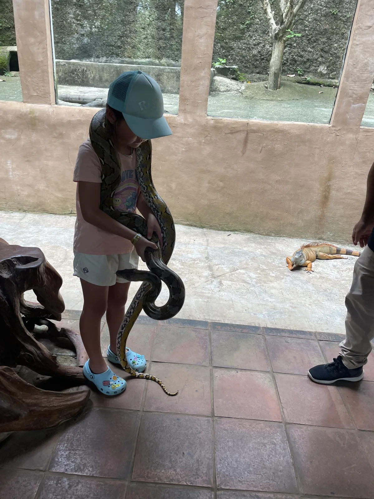 Secret Python Experience