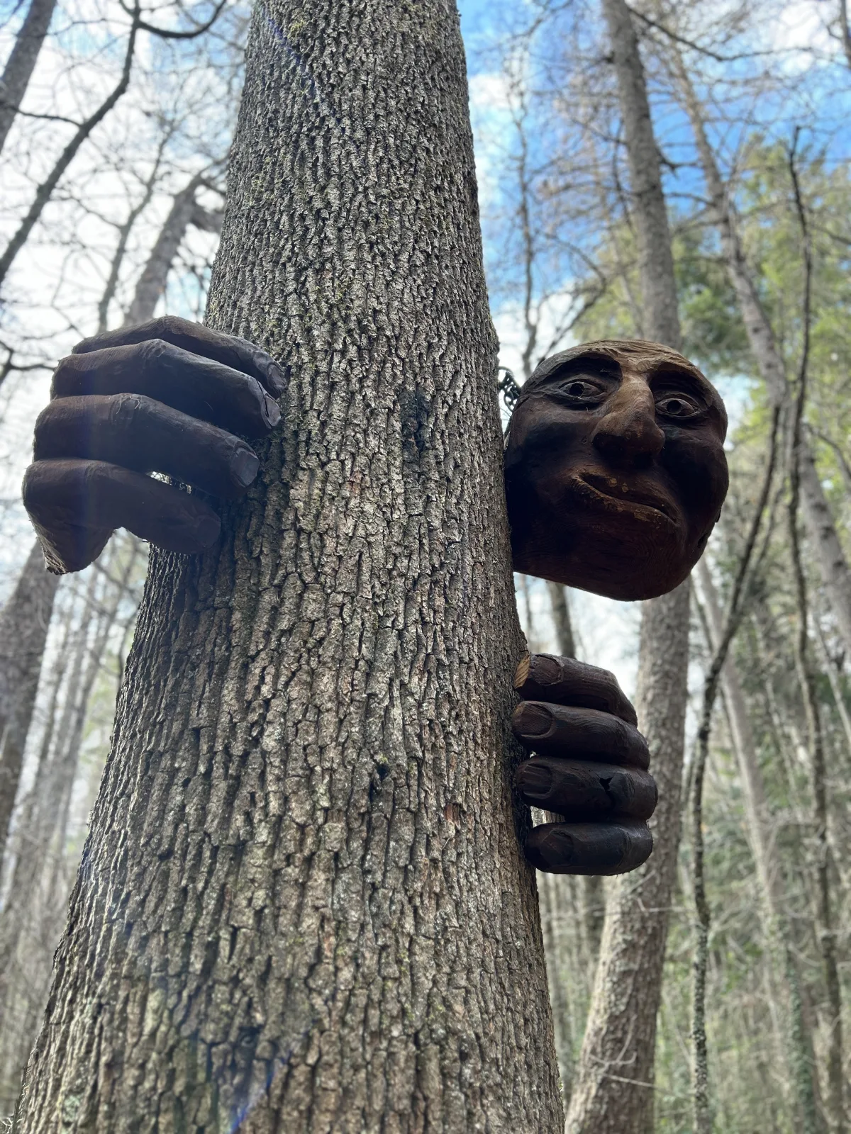 Hanmer Forest Sculpture Trail.