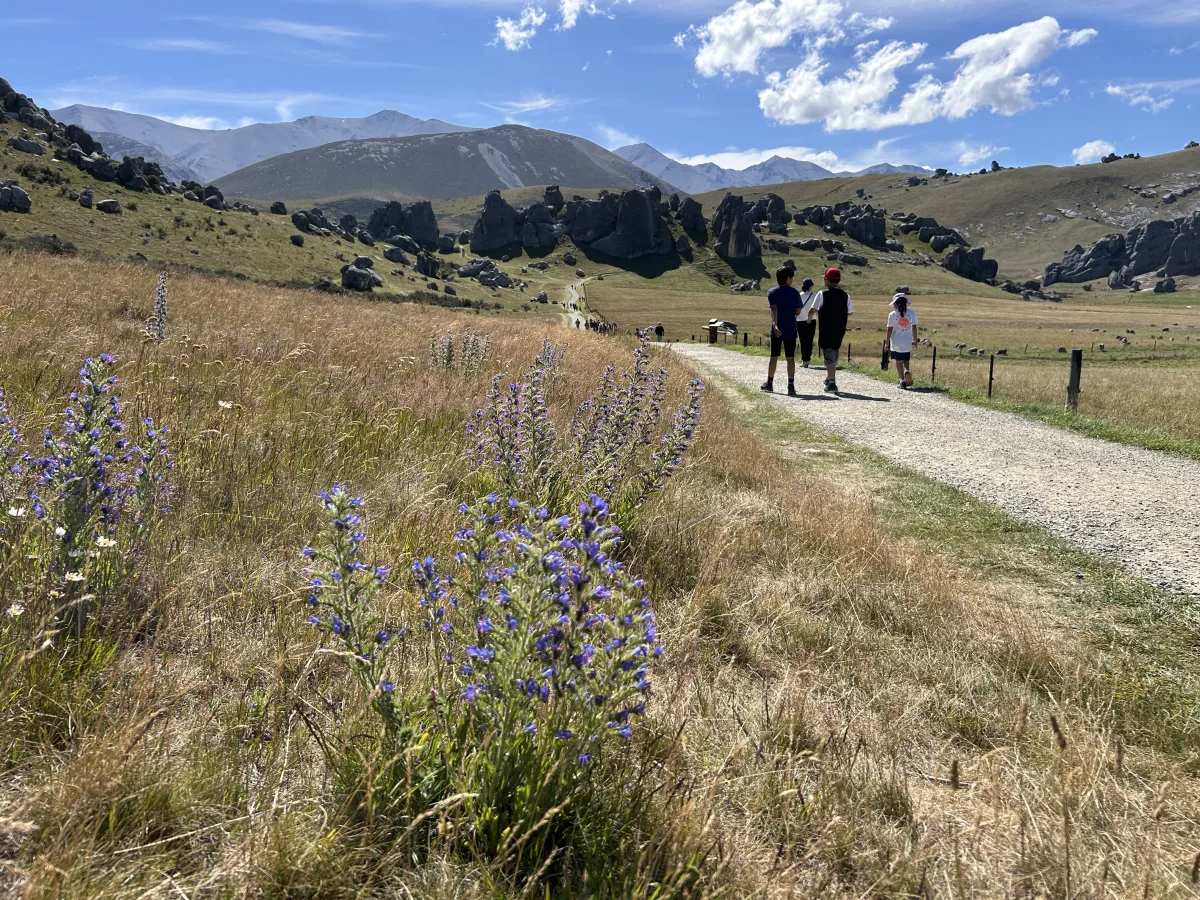 Castle Hill. From the car park, a well-maintained path leads you into a valley filled with hundreds of giant, limestone rock formations.