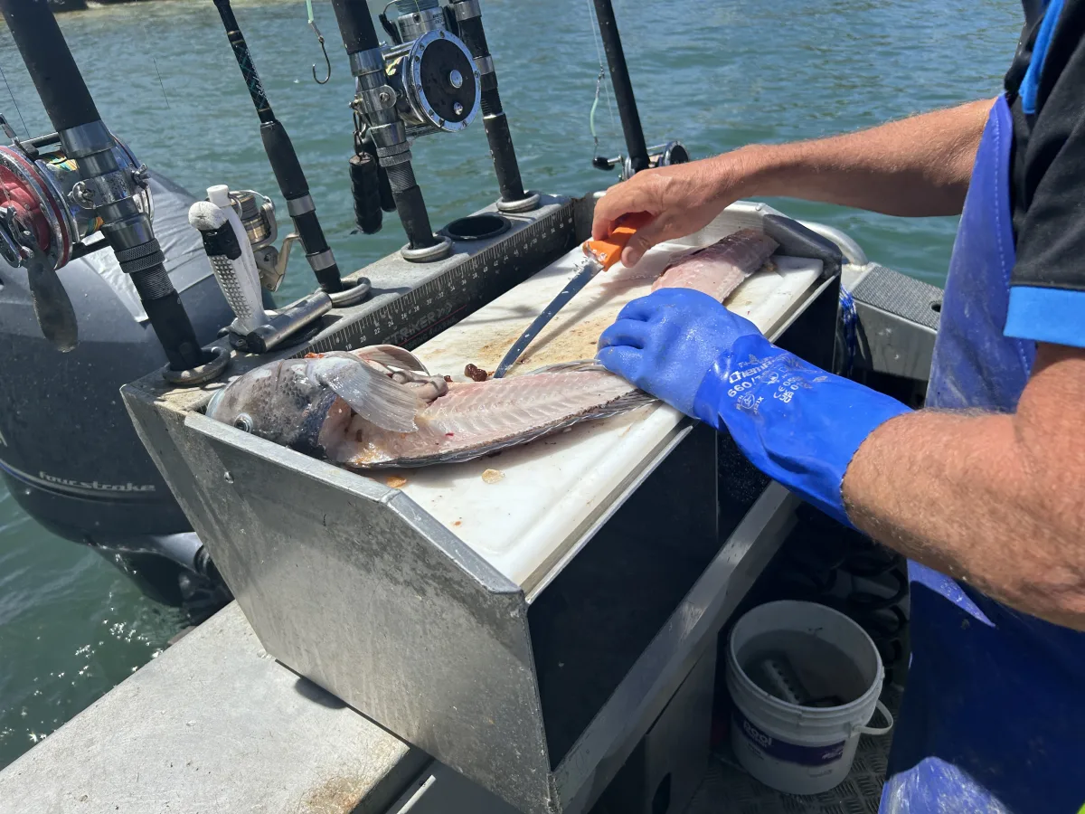 Kaikoura fishing charter fish fillet service