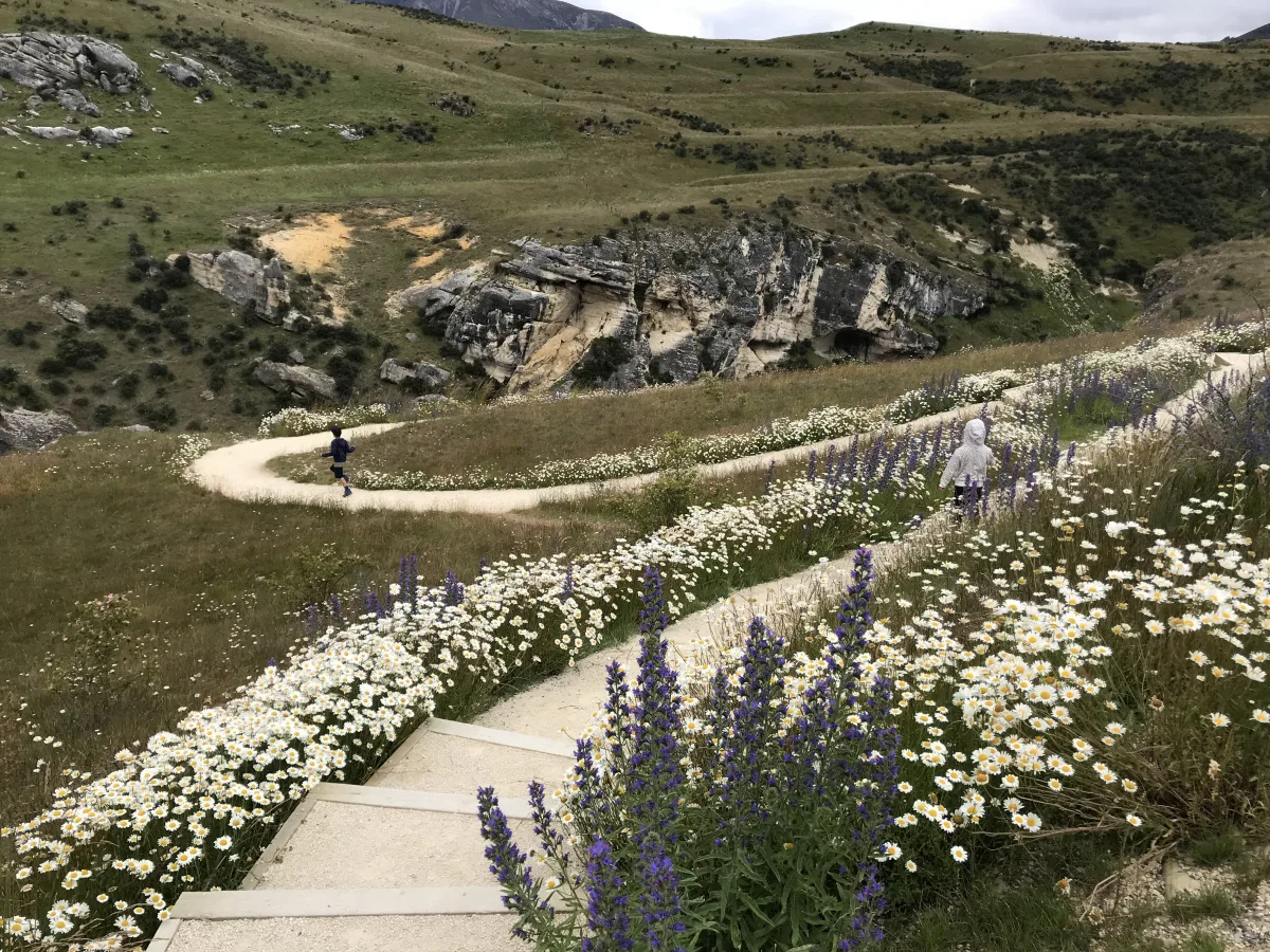 the scenic walk around Cave Stream Scenic Reserve