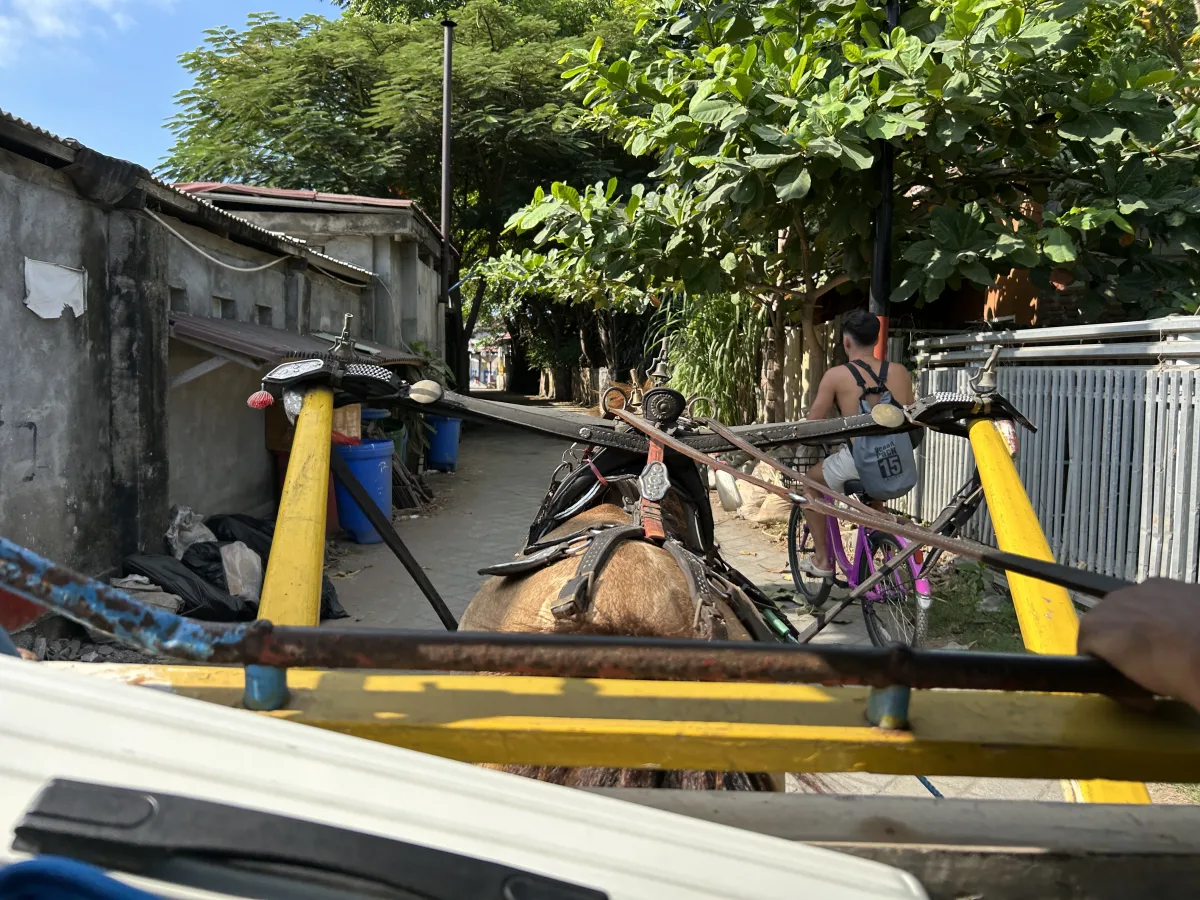 Gili Trawangan horse wagon to harbour