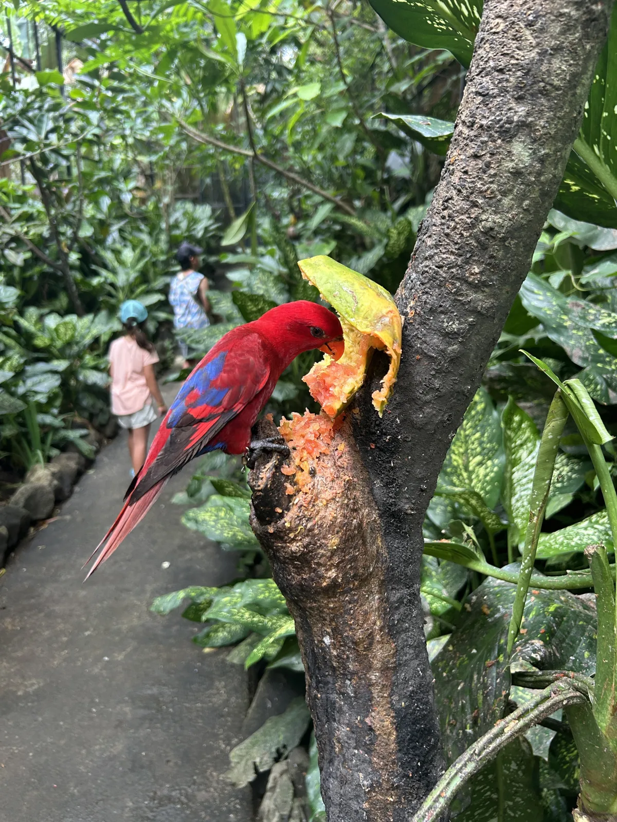 interactive encounters in Lombok wildlife park