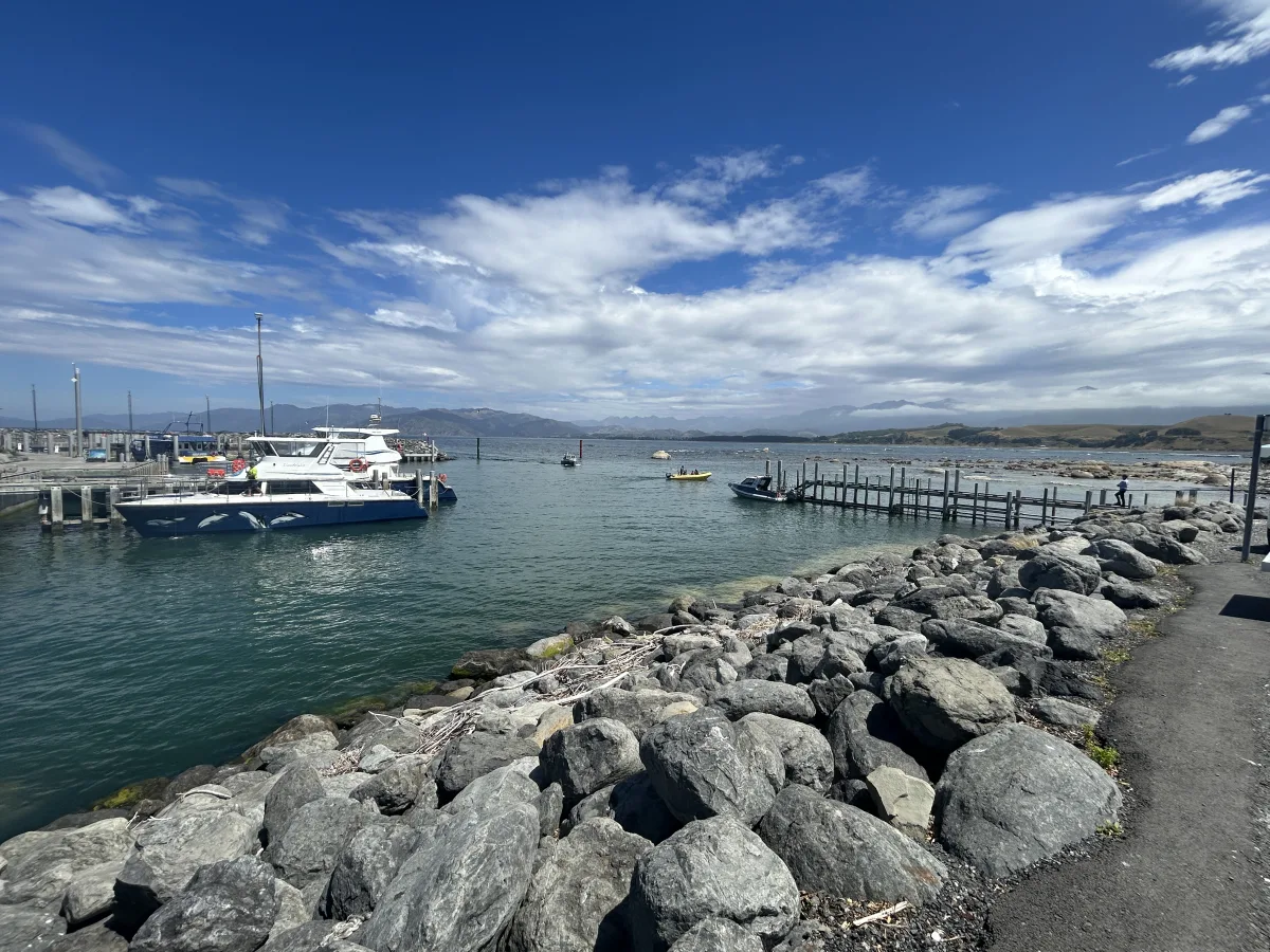 Kaikoura fishing charter boat