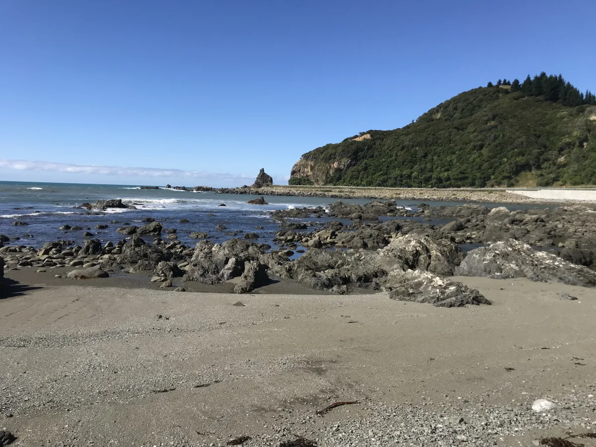 kaikoura paua spot