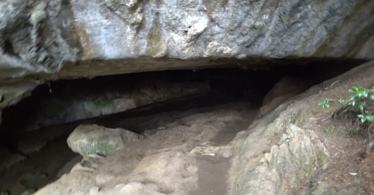 Waipu Caves free glowworm watching