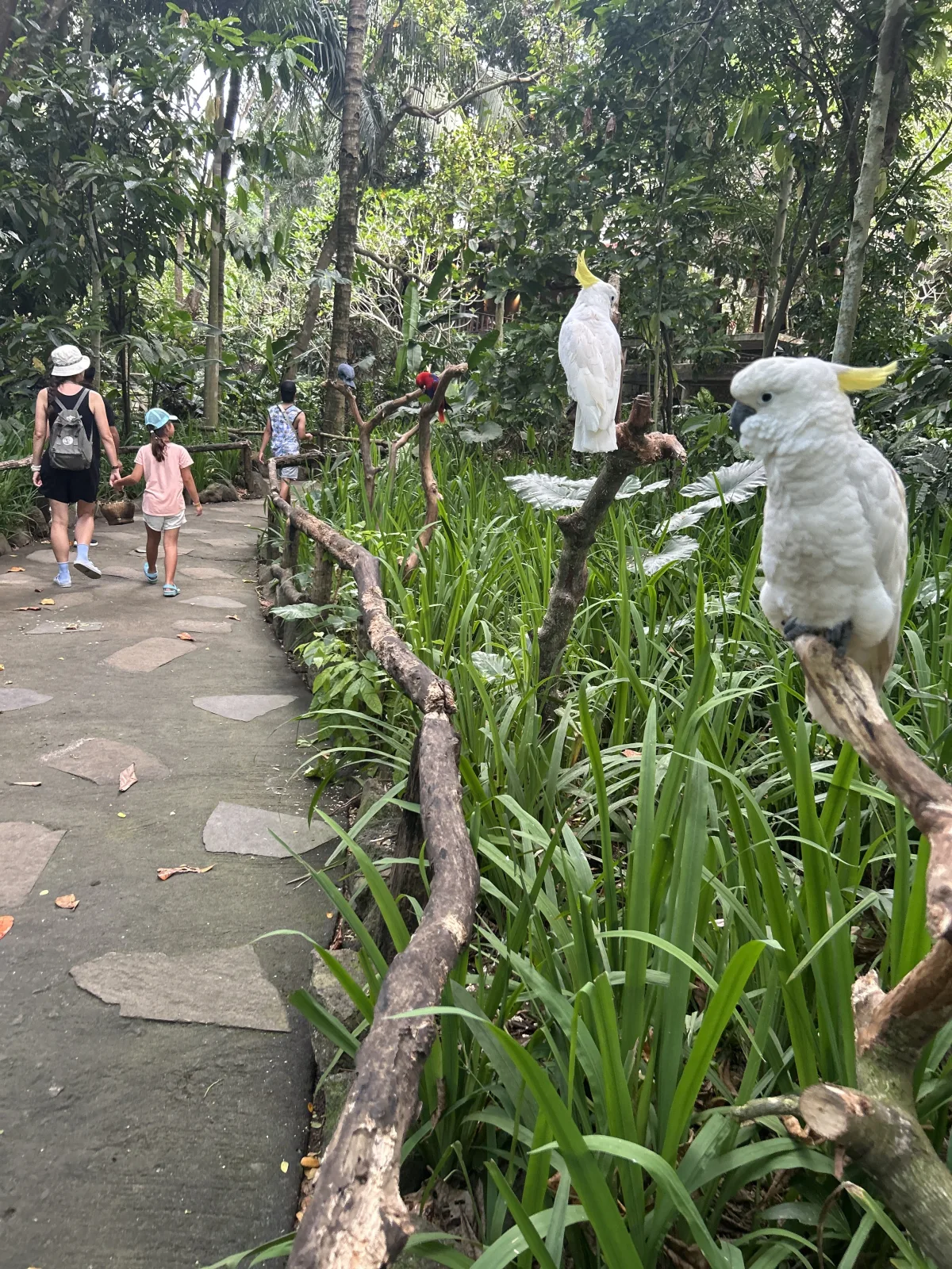 interactive encounters in Lombok wildlife park