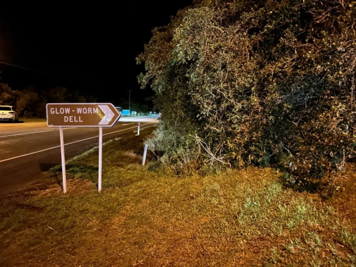 Glowworm Dell, Hokitika