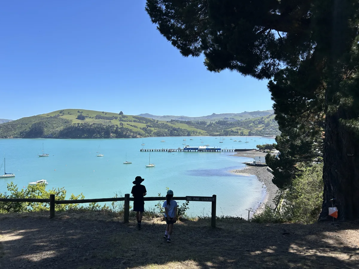 French charm and stunning harbour, Akaroa