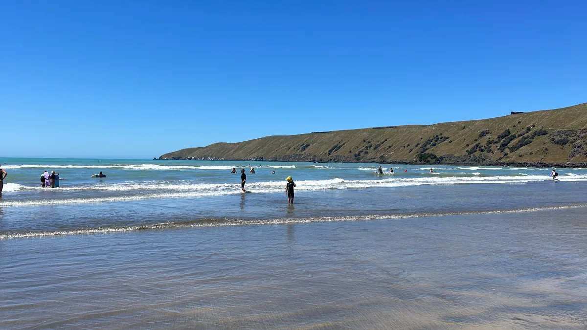 find Akaroa's main beach a bit crowded, consider the extra 30-minute drive to Okains Bay