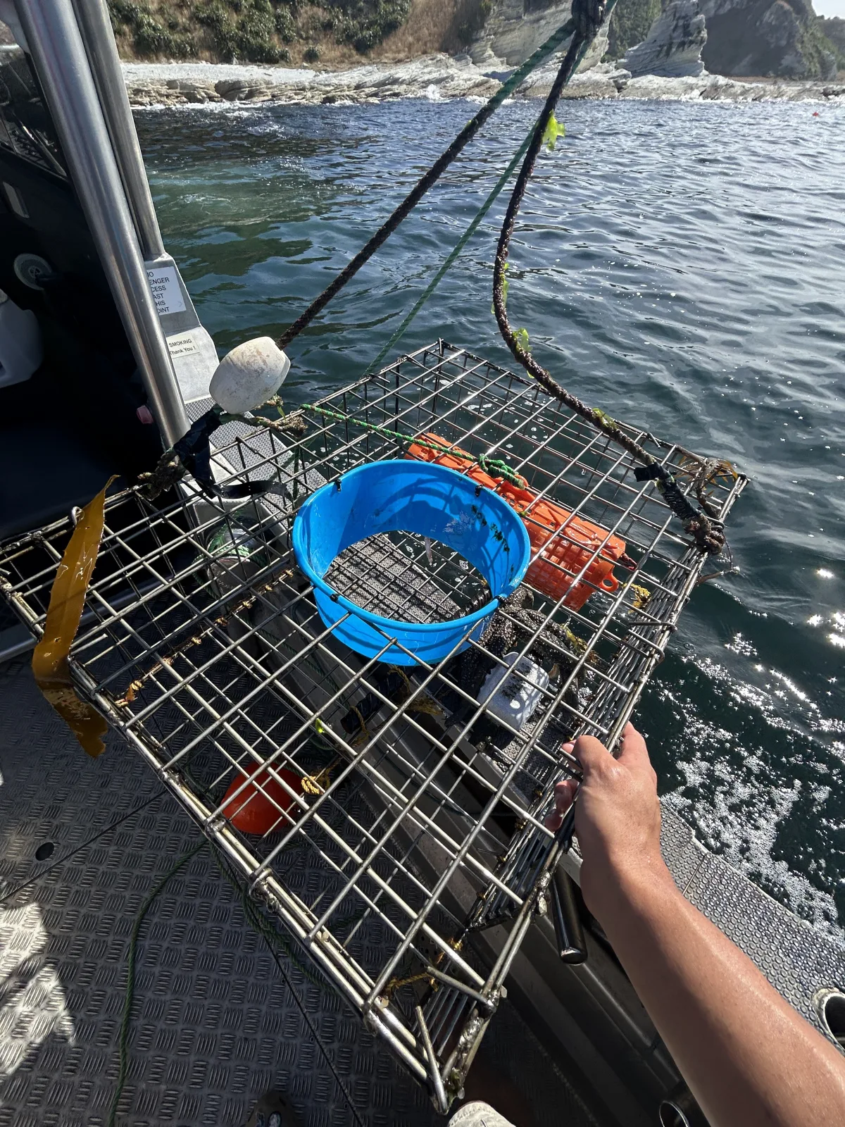 Kaikoura fishing charter crayfish pot