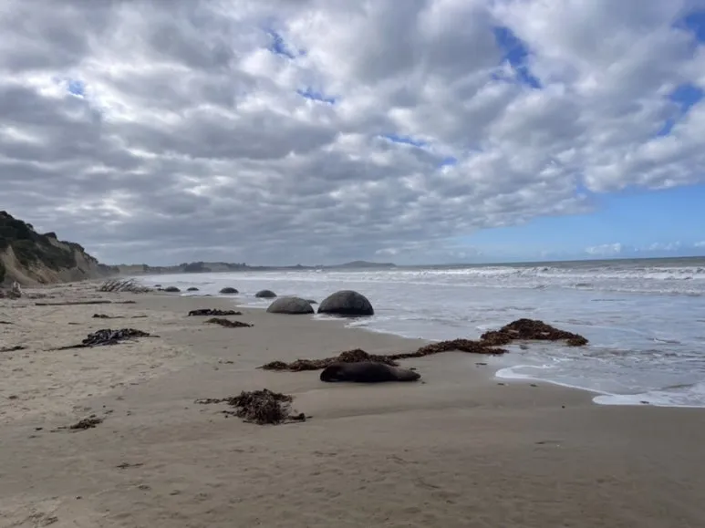 Who Should Visit Moeraki