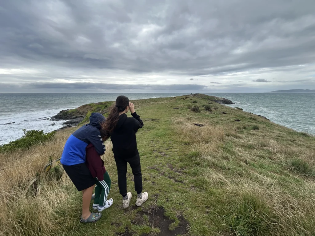 Katiki Point Seal Colony the seals are metres from the walking track. No ropes. No guides. Maybe three other people on the whole headland. 