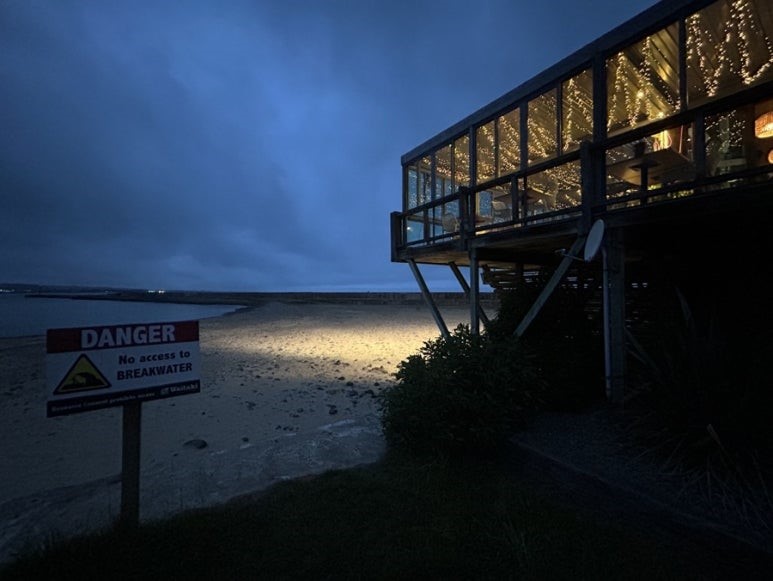 Blue Penguin Free Watching spot in Oamaru