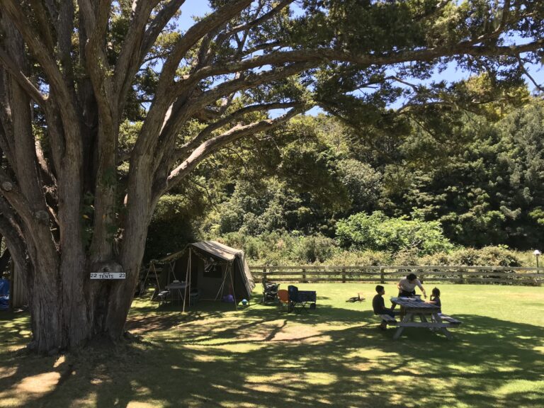 Top 10 Best Family-Friendly Campsites in New Zealand Kauri Coast TOP 10 Holiday Park