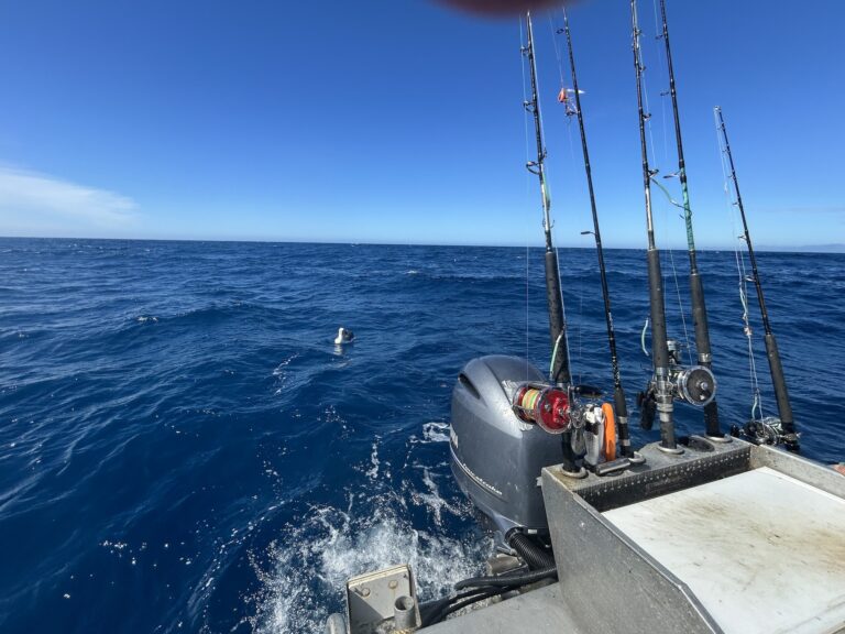 Kaikoura Fishing Charter