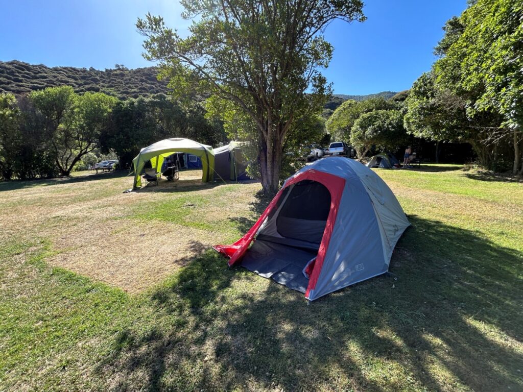 Relocation Car Rentals in New Zealand camping with 10 dollars a night