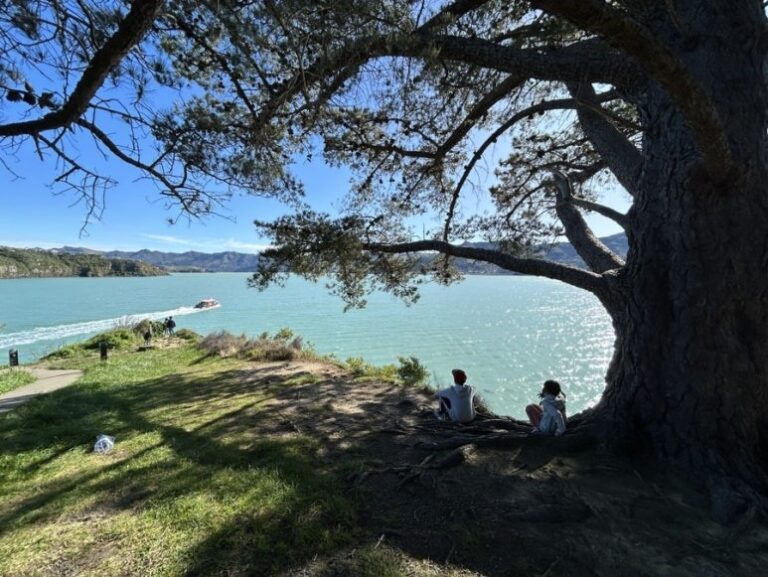 Diamond Harbour view