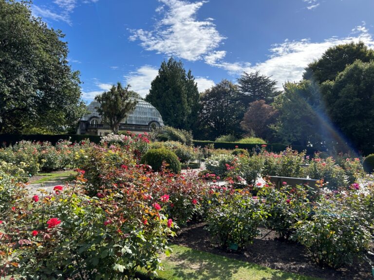 christchurch free activities with kids: Hagley park botanic garden