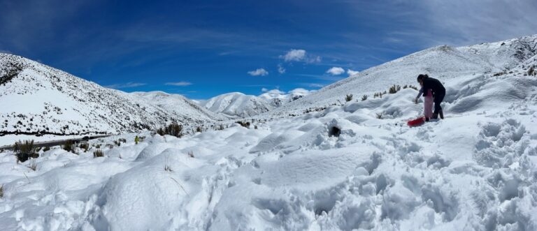 Porters Pass: Best Family-Friendly Tobogganing Near Christchurch (Hidden Gem in New Zealand