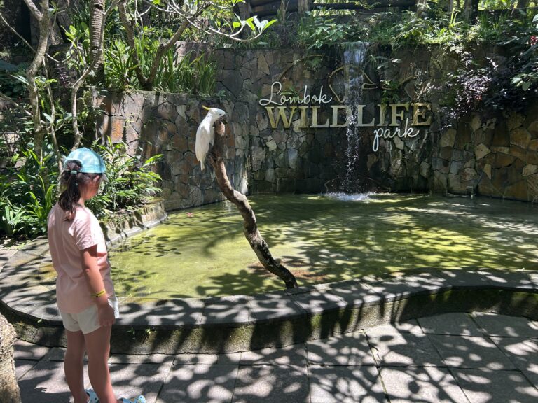 Lombok Wildlife Park: The Ultimate Guide for a Perfect Family Day Trip