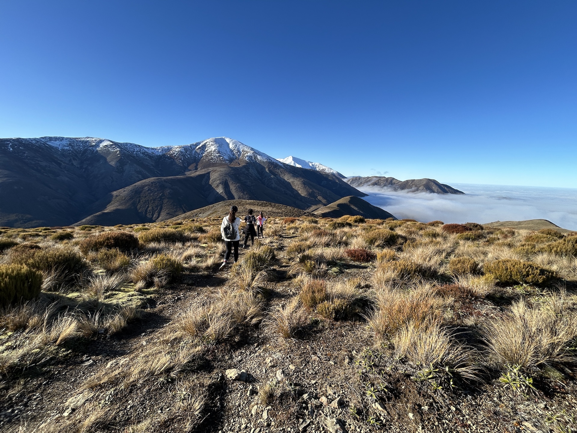 The Ultimate Trig M Hike: Your Guide to a Perfect Canterbury Day Walk