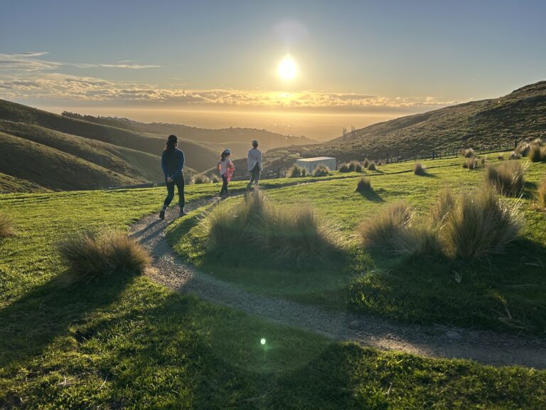Christchurch Port Hills: The Ultimate Family Hiking Kōwhai track