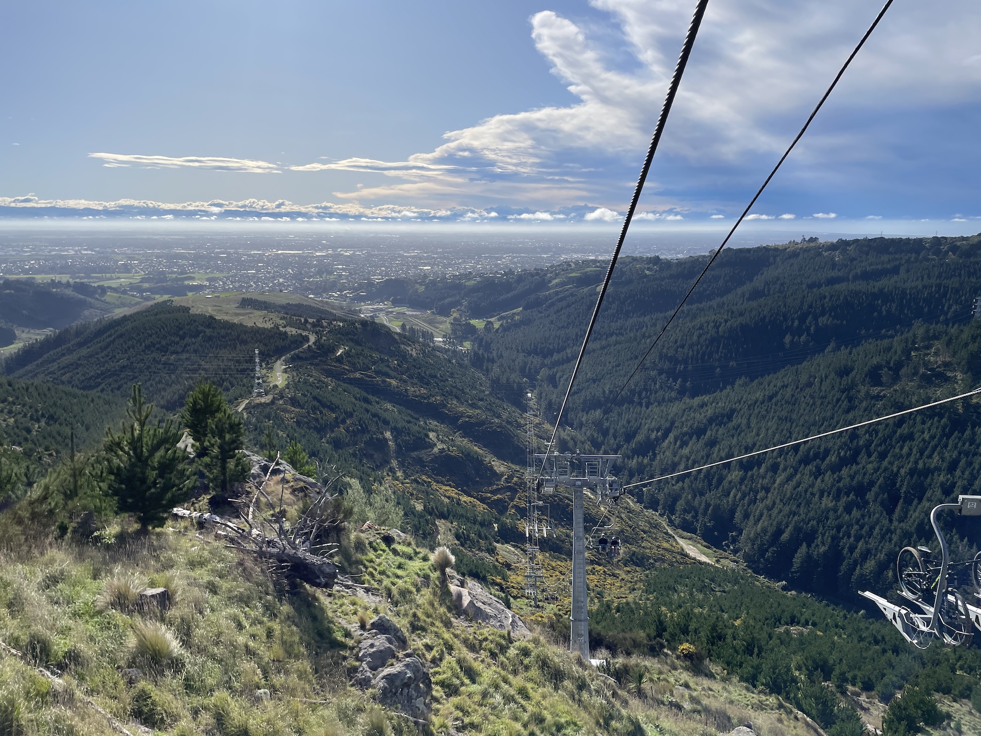 Christchurch on a Budget: The Ultimate Guide to Fun & Free Family Fun