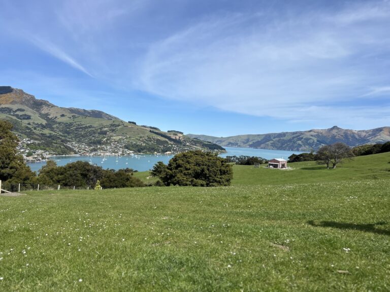Akaroa Day Trip from Christchurch: The Best Proven Itinerary from a Local (2025)