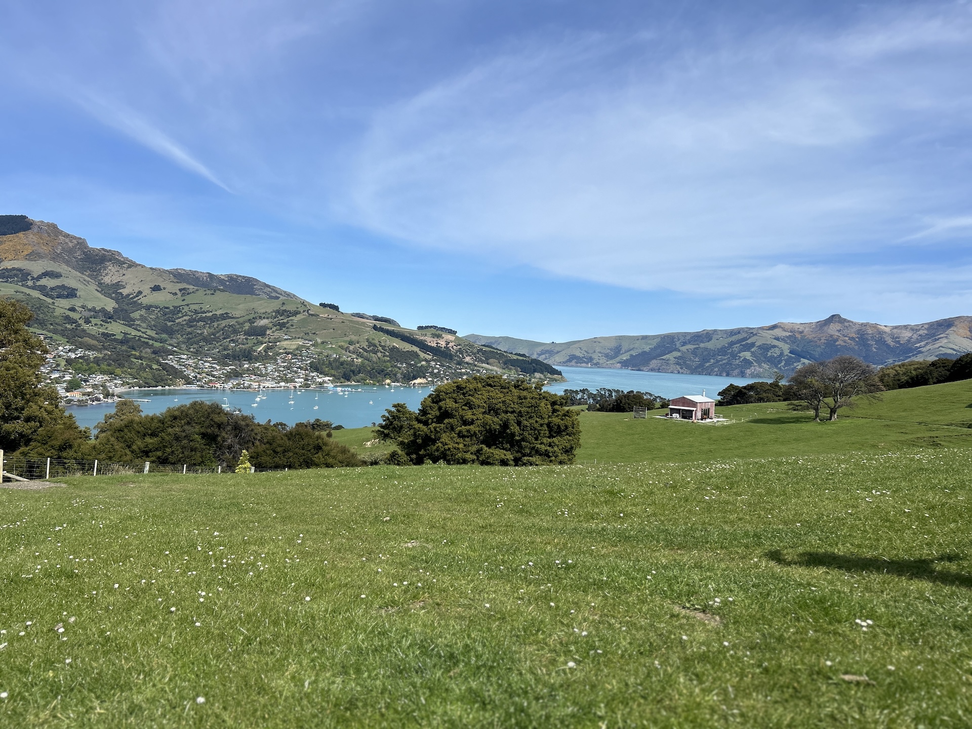 Akaroa Day Trip from Christchurch: The Best Proven Itinerary from a Local (2025)