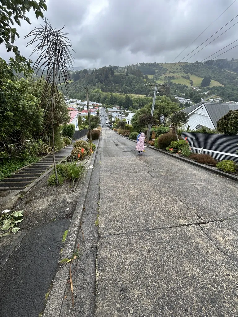 Baldwin Street is a 20-minute walk from the city centre. It's famous for being the world's steepest residential street. 