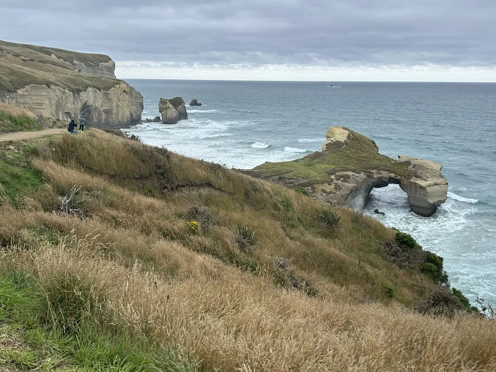 Tunnel Beach is a 30-minute drive from the city. It's genuinely dramatic — a 1-hour return hike down a steep descent to a black-sand beach fronted by a natural arch carved through the cliff. The reward is real.