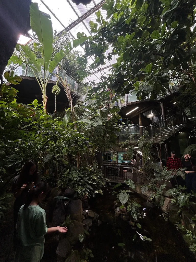 The Butterfly House (Tūhura Science Centre) Three floors of hands-on science. But the real magic is the butterfly house on the ground floor — a three-storey tropical rainforest atrium with live butterflies flying free.