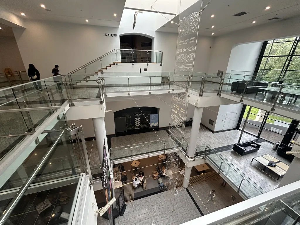 The Otago Museum: The free section alone (natural history, Māori collections) is worth 1.5–2 hours with kids. 