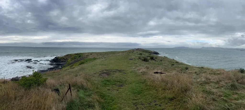 Forget the reputation that seals are only worth seeing in Kaikoura. Katiki Point is 15 minutes past Moeraki Boulders (if you're coming from the north), and the fur seals hang out metres from the walking path with zero tour groups.