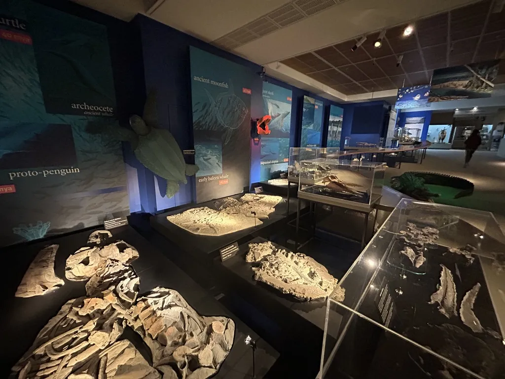 The Otago Museum: The collections are genuinely impressive — good taxidermy, thoughtful layouts, stuff kids actually stop to read instead of walking past.