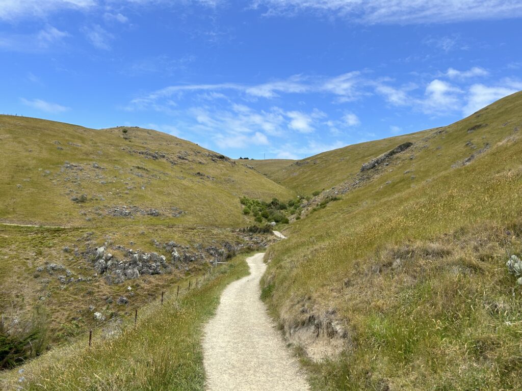 New Zealand Weather Is Genuinely Unpredictable. New Zealand has some of the highest UV levels in the world due to the thin ozone layer. 