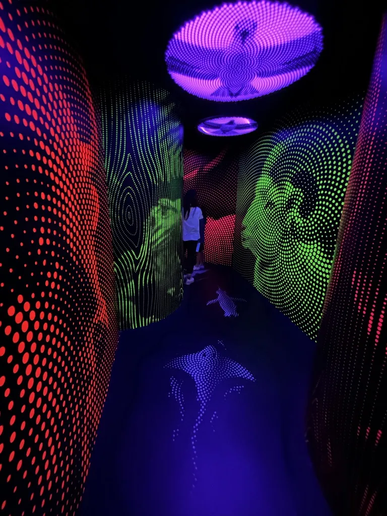 Wanaka Puzzling World Review: hologram hall