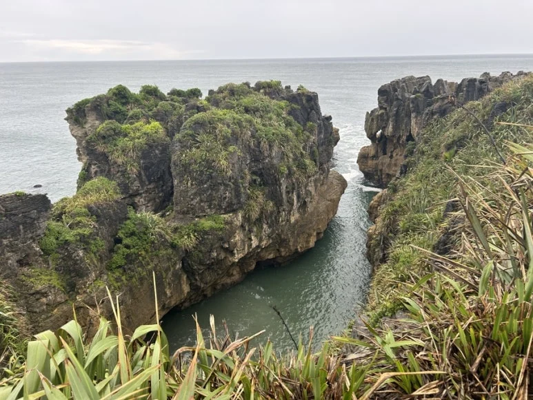 Punakaiki Pancake Rocks track New Zealand