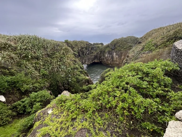 Punakaiki Pancake Rocks track New Zealand