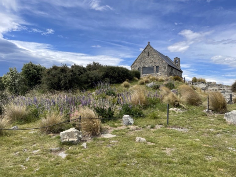 The Lupin Truth: the church lupins are real but modest. The photo took in 2021.