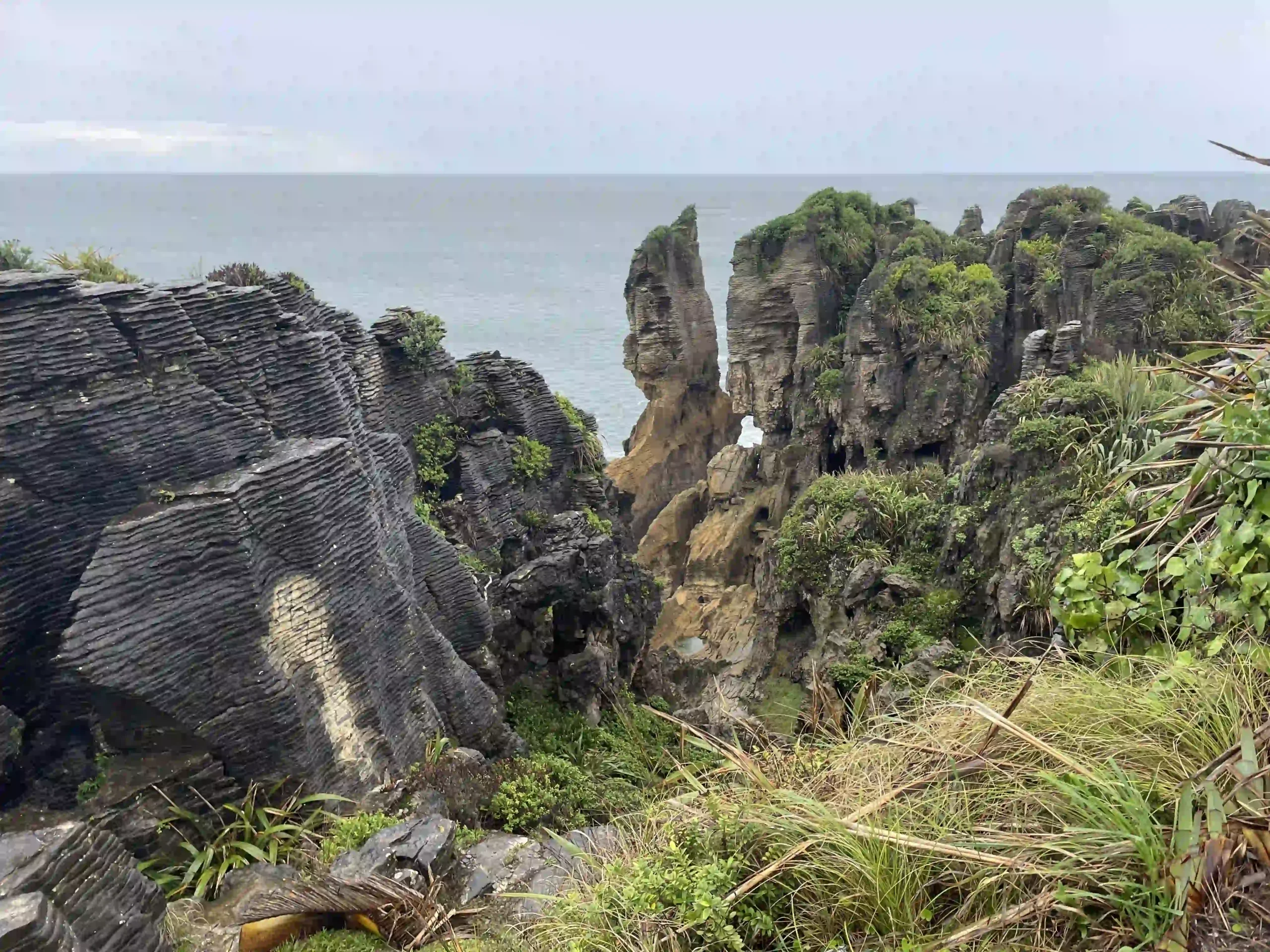 Punakaiki Pancake Rocks: Day Trip Guide from Christchurch (2026)